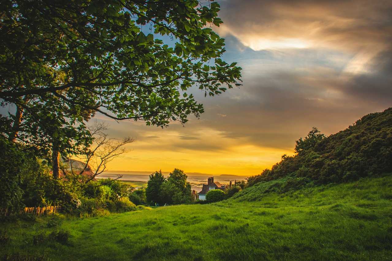 Photo de Lisa Fotios: https://www.pexels.com/fr-fr/photo/arbres-verts-sous-le-ciel-bleu-et-orange-au-coucher-du-soleil-1107717/